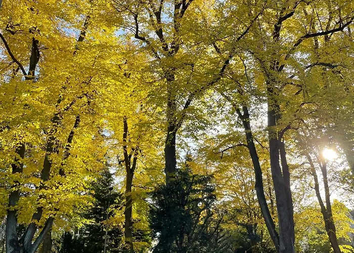 Frühstückspension Stadtpark 4*