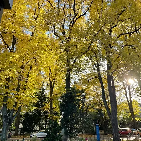 Alojamento de Acomodação e Pequeno-almoço Stadtpark 2*